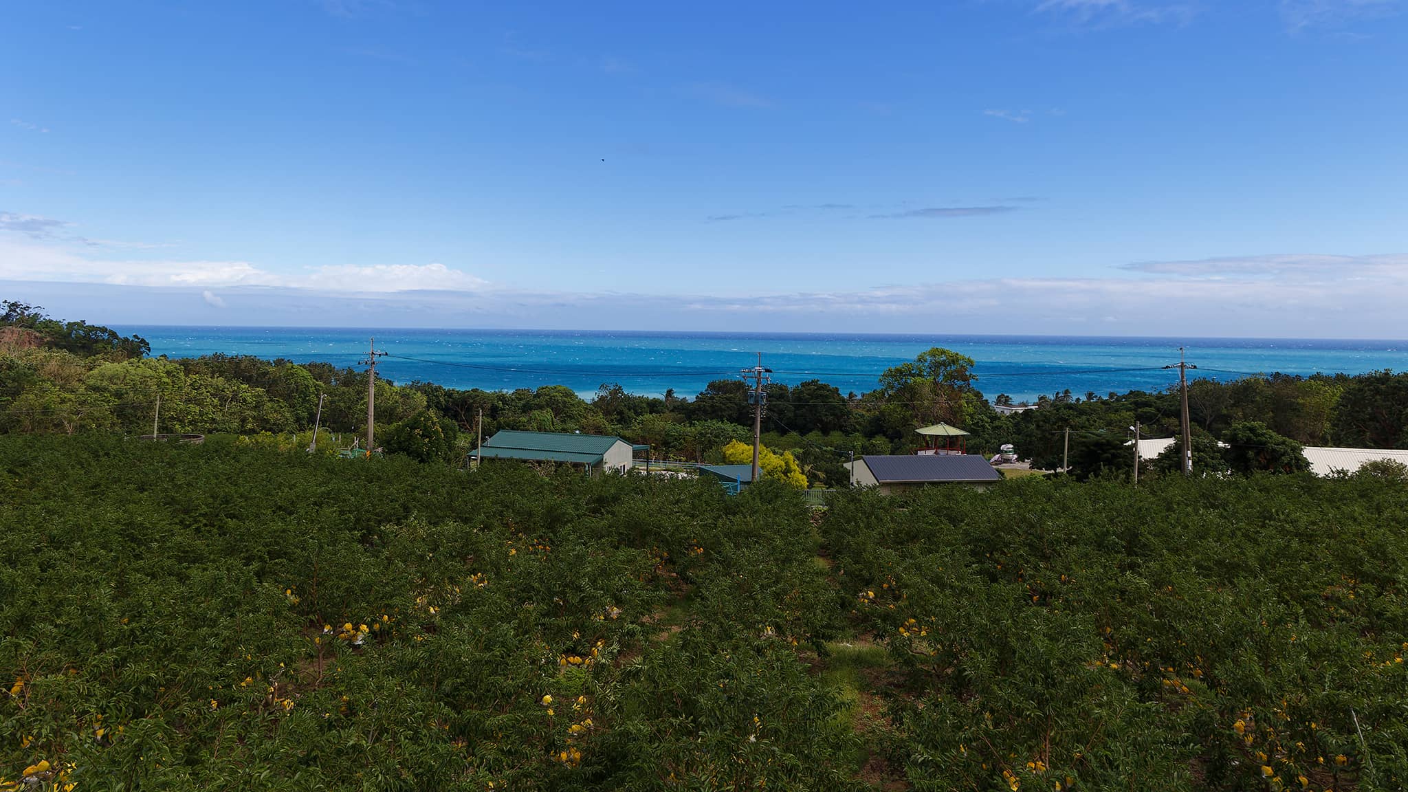 07 - Chishang (2).jpg